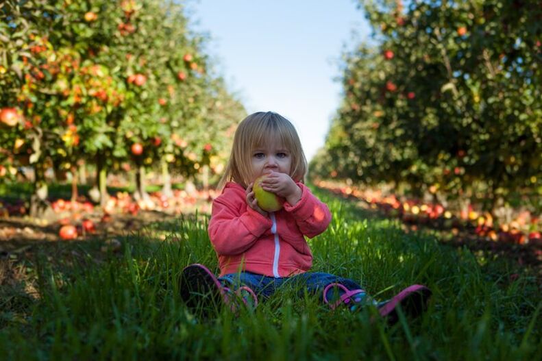 Children with diabetes diagnosis can use ugly fruits